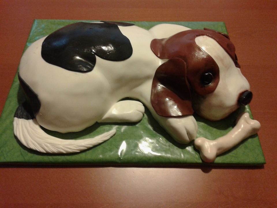 Bono-shaped birthday cake
